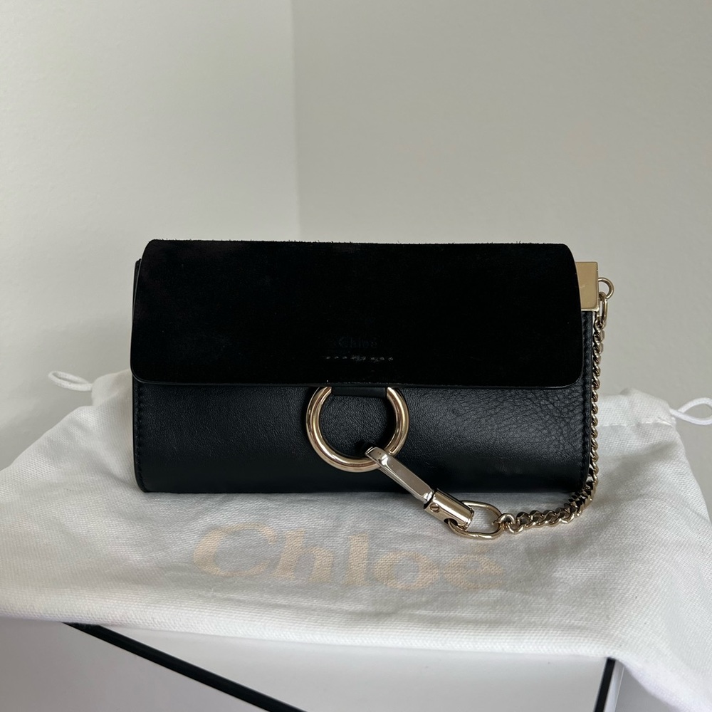Chloe Faye Mini Crossbody Clutch